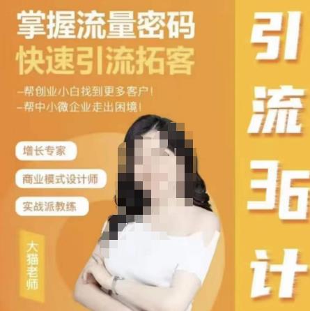 【6534期】大猫·引流36计，掌握流量密码，快速引流拓客，帮创业小白找到更多客户，帮中小微企业走出困境