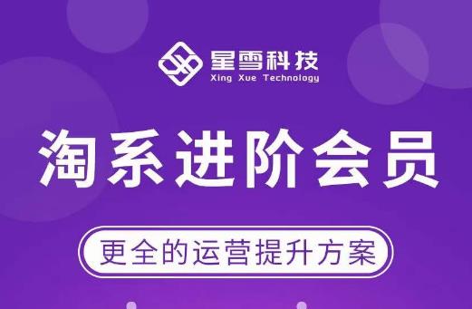 【6600期】星雪·淘系进阶课程，快速提升突破技能流量瓶颈必备（更新2023年5月）