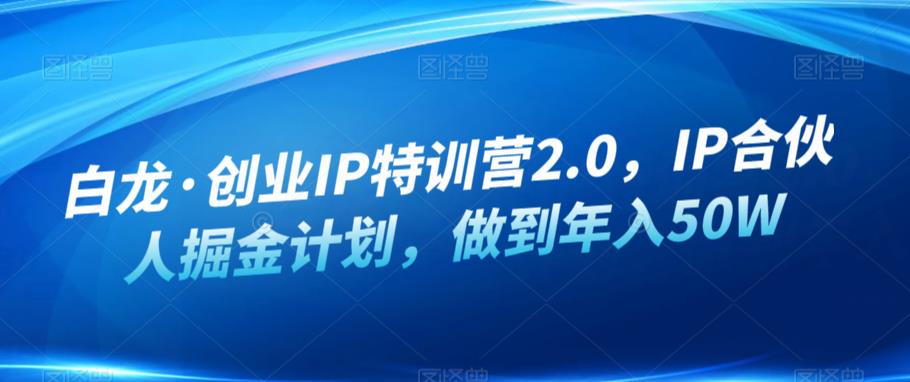 【6776期】白龙·创业IP特训营2.0，IP合伙人掘金计划，做到年入50W