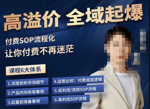 【6928期】逸风-拼多多高溢价全域起爆，6大课程体系，付费玩法全套实操