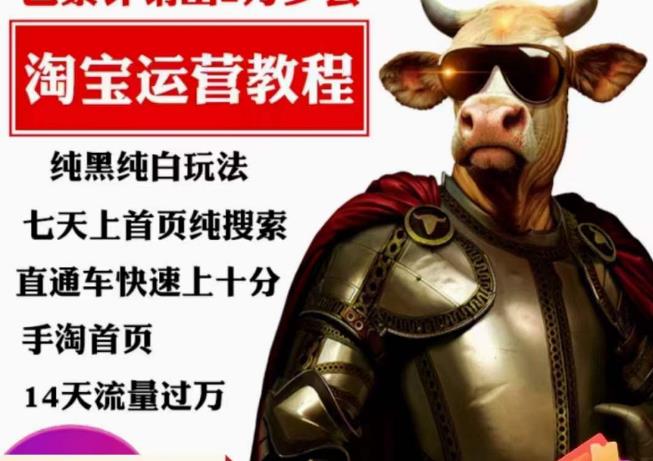 【7049期】猫老师·淘系算法逆向解密，​纯黑纯白玩法，七天上首页纯搜索，手淘首页14天流量过万