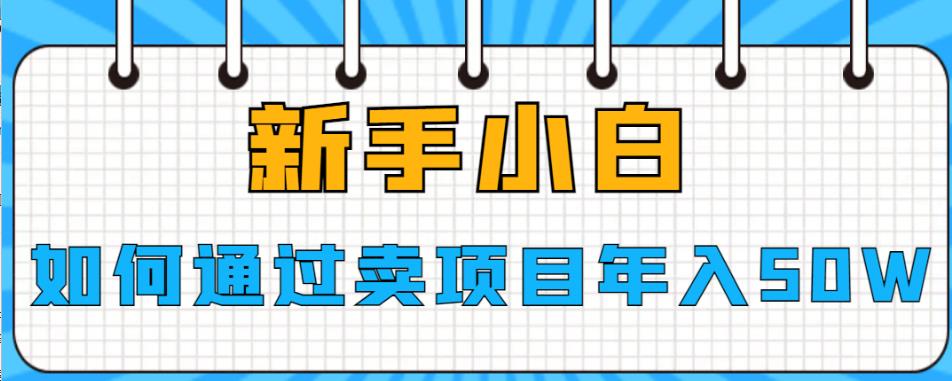 【7265期】新手小白如何通过卖项目年入50W【揭秘】