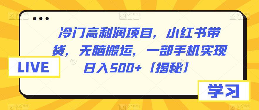 【7336期】冷门高利润项目，小红书带货，无脑搬运，一部手机实现日入500+【揭秘】