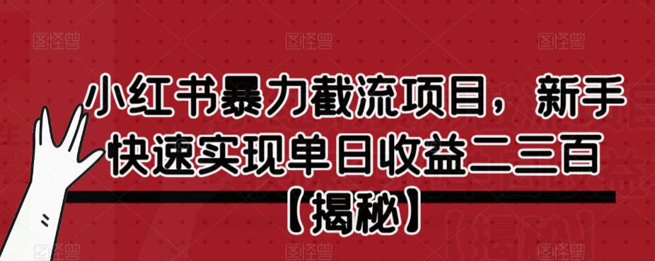 【7369期】小红书暴力截流项目，新手快速实现单日收益二三百【仅揭秘】
