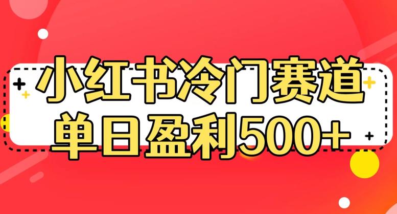 【7493期】小红书冷门赛道，单日盈利500+【揭秘】