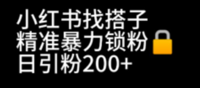 【7702期】小红书找搭子暴力精准锁粉+引流日引200+精准粉