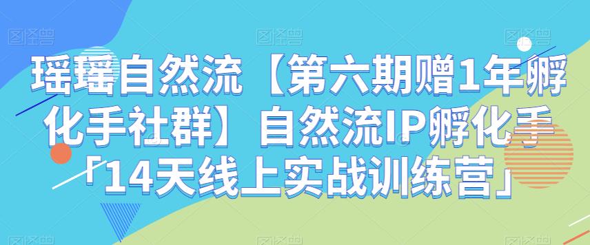 【7828期】瑶瑶自然流【第六期赠1年孵化手社群】自然流IP孵化手「14天线上实战训练营」