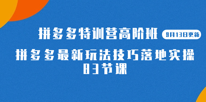 【8429】2023拼多多·特训营高阶班【9月13日更新】拼多多最新玩法技巧落地实操-83节