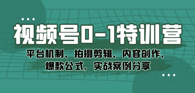 【8540】视频号0-1特训营：平台机制、拍摄剪辑、内容创作、爆款公式，实战案例分享