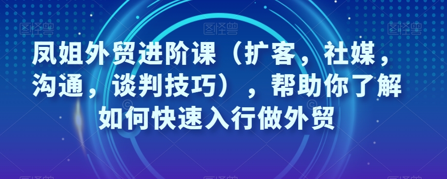 【9046】凤姐外贸进阶课（扩客，社媒，沟通，谈判技巧），帮助你了解如何快速入行做外贸