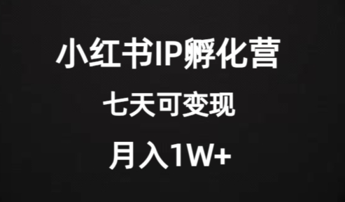 【9160】价值2000+的小红书IP孵化营项目，超级大蓝海，七天即可开始变现，稳定月入1W+