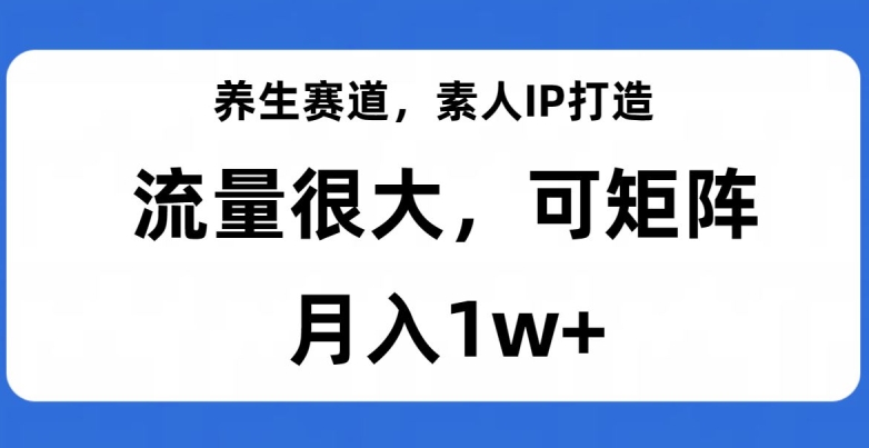 【9214】养生赛道，素人IP打造，流量很大，可矩阵，月入1w+【揭秘】