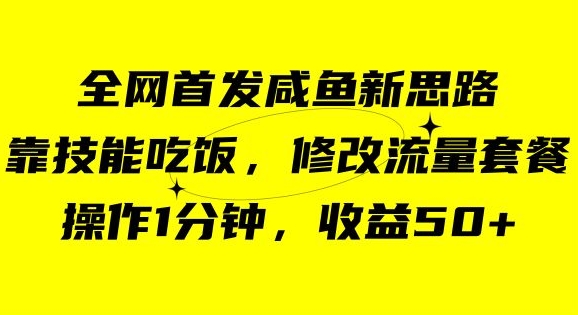 【9225】咸鱼冷门新玩法，靠“技能吃饭”，修改流量套餐，操作1分钟，收益50【揭秘】