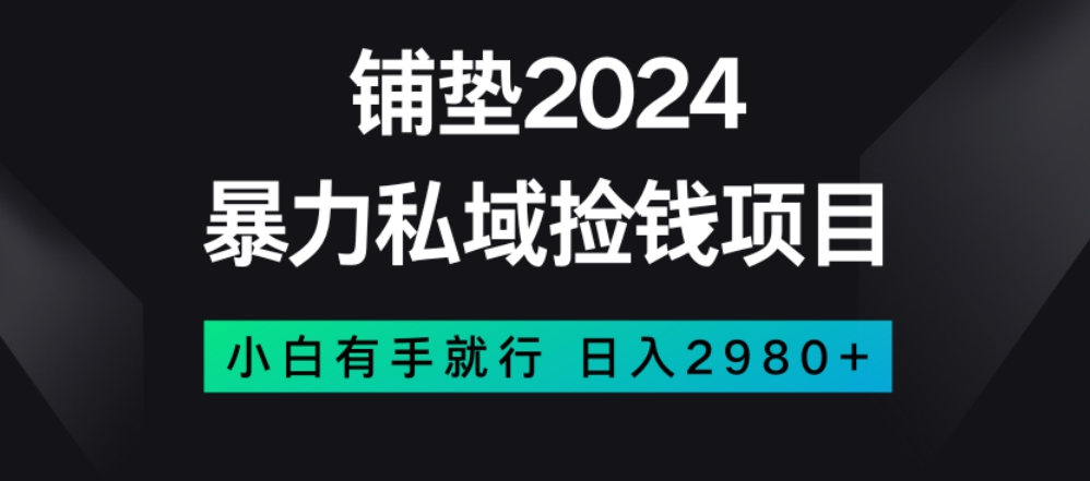 【9926】暴力私域捡钱项目，小白无脑操作，日入2980【揭秘】