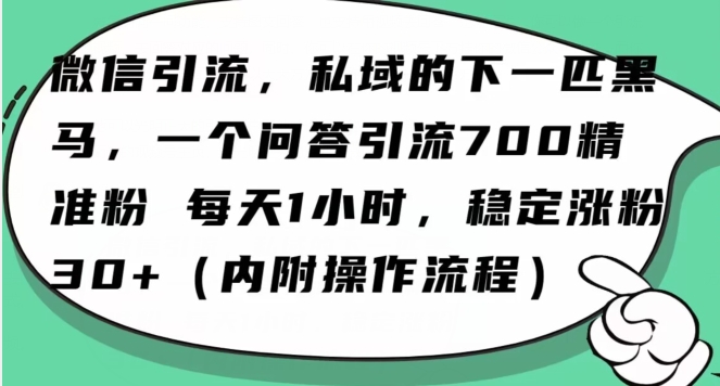 【10314】怎么搞精准创业粉？微信新赛道，每天一小时，利用Ai一个问答日引100精准粉