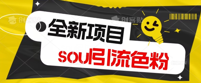 【11034】全新风口项目，soul精准引流私域变现，单身经济，无限放大，单日引流1000加轻轻松松