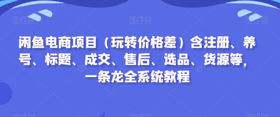 【11173】闲鱼电商项目（玩转价格差）含注册、养号、标题、成交、售后、选品、货源等，一条龙全系统教程