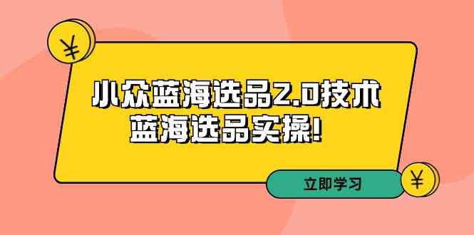 【11282】拼多多培训第33期：小众蓝海选品2.0技术-蓝海选品实操！