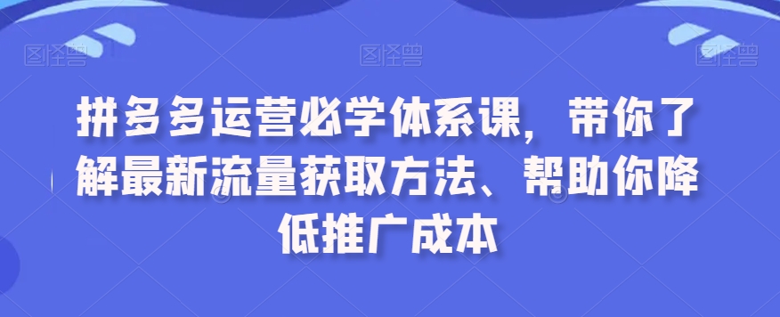 【11294】拼多多运营必学体系课，带你了解最新流量获取方法、帮助你降低推广成本