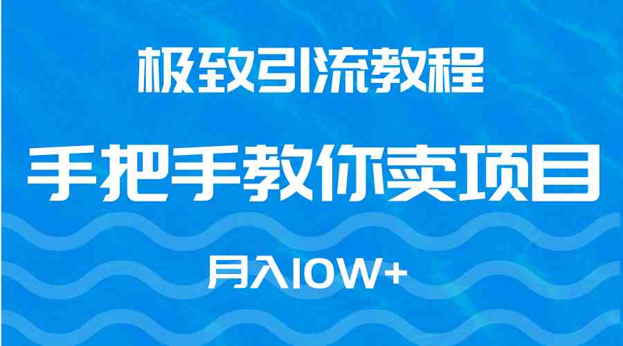 【11392】极致引流教程，手把手教你卖项目，月入10W+