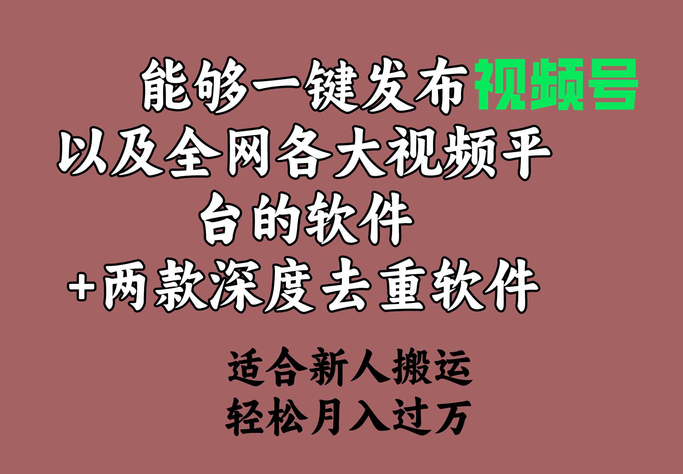 【11473】能够一键发布视频号以及全网各大视频平台的软件+两款深度去重软件 