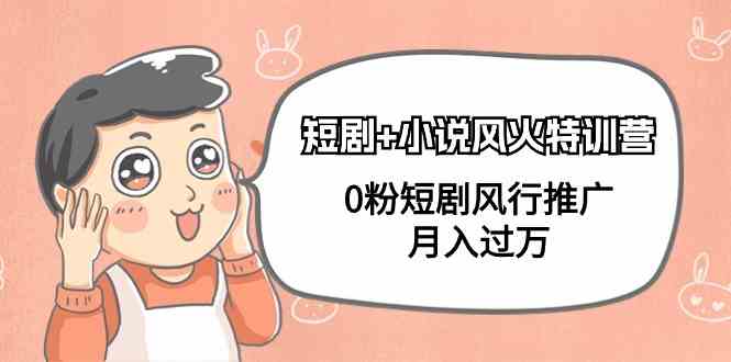 【11523】短剧+小说风火特训营，0粉短剧风行推广，月入过万（102节课）