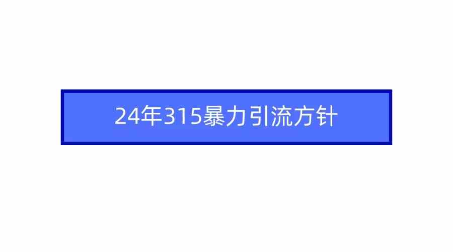 【11551】2024年315暴力引流方针