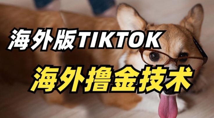 【11798】抖音海外版tiktok撸金技术，这个风口行业，赚钱真的不难【揭秘】