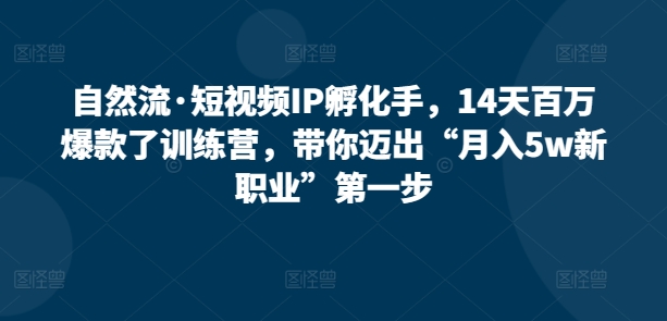 【12003】自然流·短视频IP孵化手，14天百万爆款了训练营，带你迈出“月入5w新职业”第一步