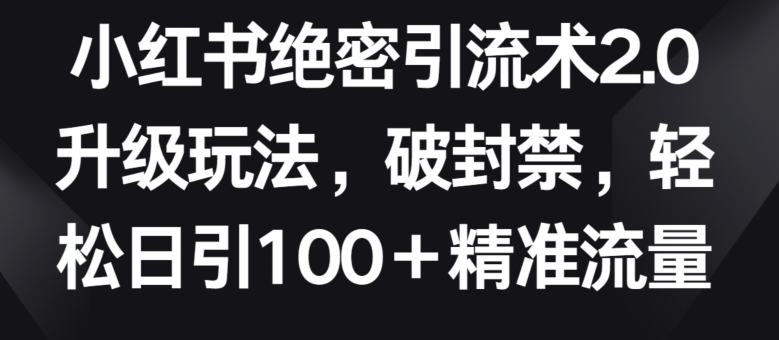 【12124】小红书绝密引流术2.0升级玩法，破封禁，轻松日引100+精准流量【揭秘】