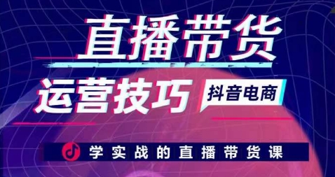【12328】直播带货运营技巧，学实战的直播带货课
