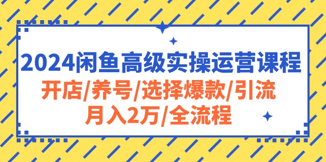 【12846】2024闲鱼高级实操运营课程：开店/养号/选择爆款/引流/月入2万/全流程