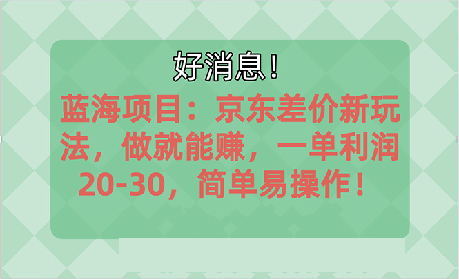【13066】越早知道越能赚到钱的蓝海项目：京东大平台操作，一单利润20-30