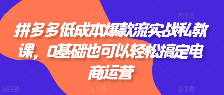 【13127】拼多多低成本爆款流实战私教课，0基础也可以轻松搞定电商运营