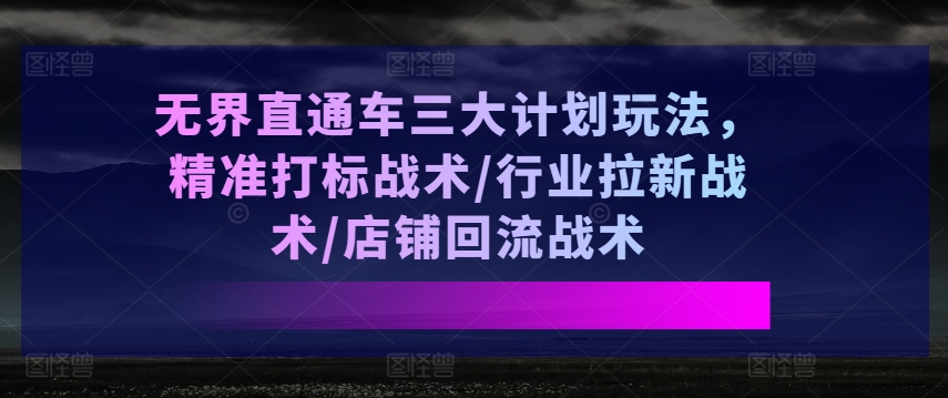 【13369】无界直通车三大计划玩法，精准打标战术/行业拉新战术/店铺回流战术