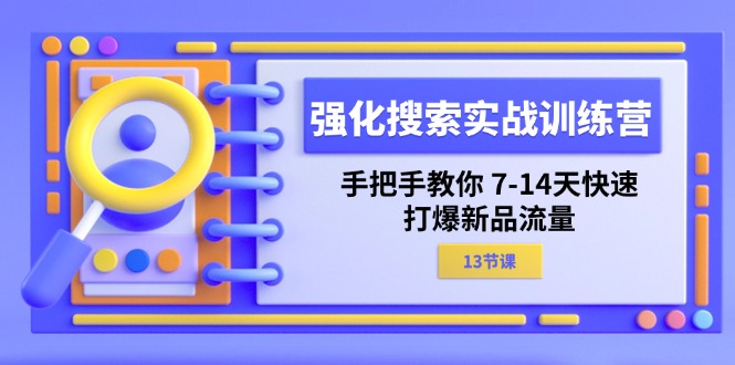 【13545】强化 搜索实战训练营，手把手教你 7-14天快速-打爆新品流量（13节课）