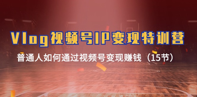 【13626】Vlog 视频号IP变现特训营，普通人如何通过视频号变现赚钱（15节）