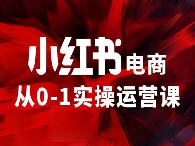 【14177】小红书电商从0-1实操运营课，让你从小白到精英