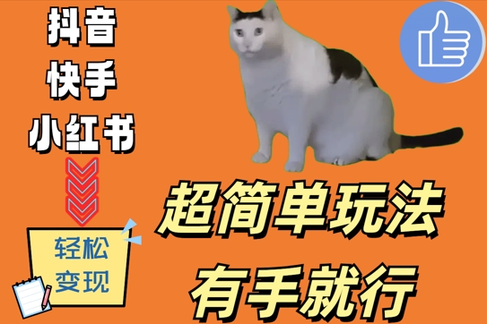 【14779】超简单玩法，有手就行，靠猫咪视频日入500+【揭秘】