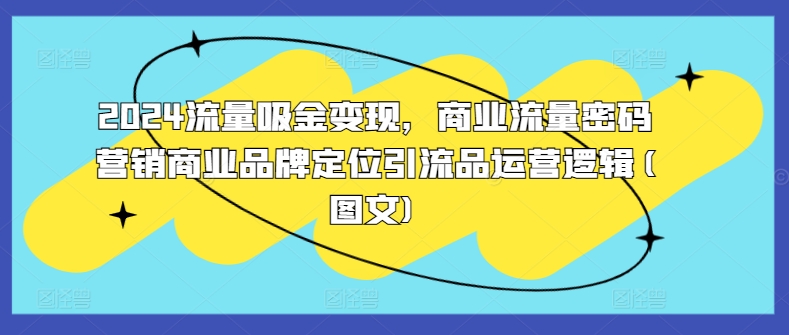 【14987】2024流量吸金变现，商业流量密码营销商业品牌定位引流品运营逻辑(图文)