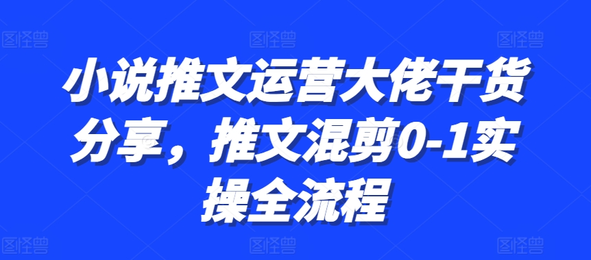 【15119】小说推文运营大佬干货分享，推文混剪0-1实操全流程