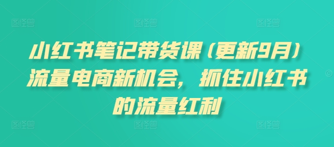 【15159】小红书笔记带货课(更新10月)流量电商新机会，抓住小红书的流量红利