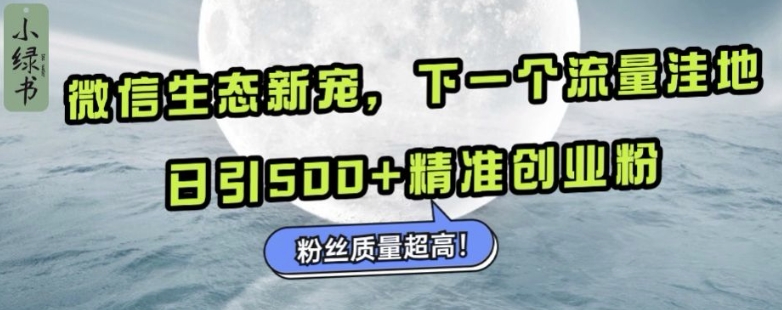 【15446】微信生态新宠小绿书：下一个流量洼地，日引500+精准创业粉，粉丝质量超高