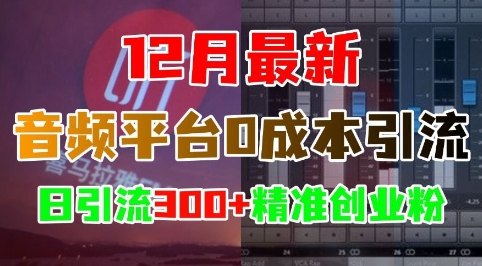 【15906】12月最新：音频平台0成本引流，日引流300+精准创业粉