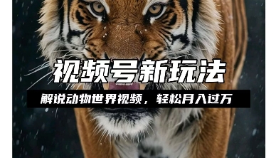 【16055】利用动物世界解说视频，赚分成计划收益，轻松月入过W，操作简单【揭秘】