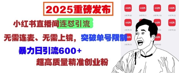 【16209】2025重磅发布：小红书直播间连怼引流，无需连麦、无需上镜，突破单号限制，暴力日引流600+