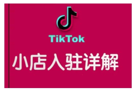 【16215】TikTok跨境小店运营全攻略，帮助你独立运营TK跨境小店的能力，实现销量增长