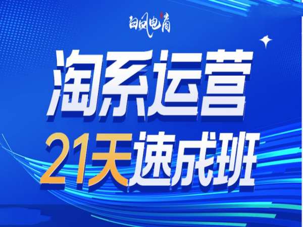 【16292】淘系运营21天速成班35期，年前最后一波和2025方向