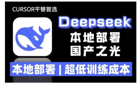 【16451】2025年deepseek R1 大型模型本地安装部署(文件+教程)本地部署，超低训练成本