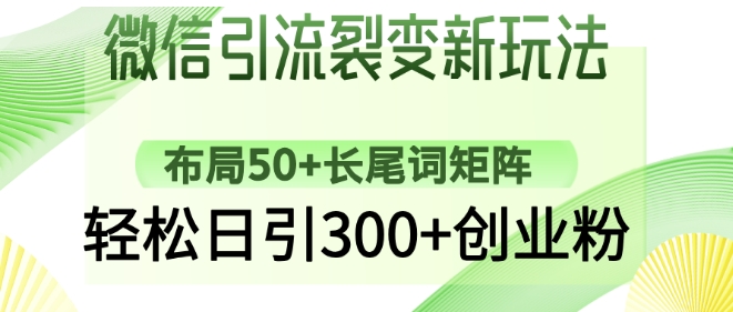 【16865】微信引流裂变新玩法：布局50+长尾词矩阵，轻松日引300+创业粉